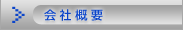 ЊTv